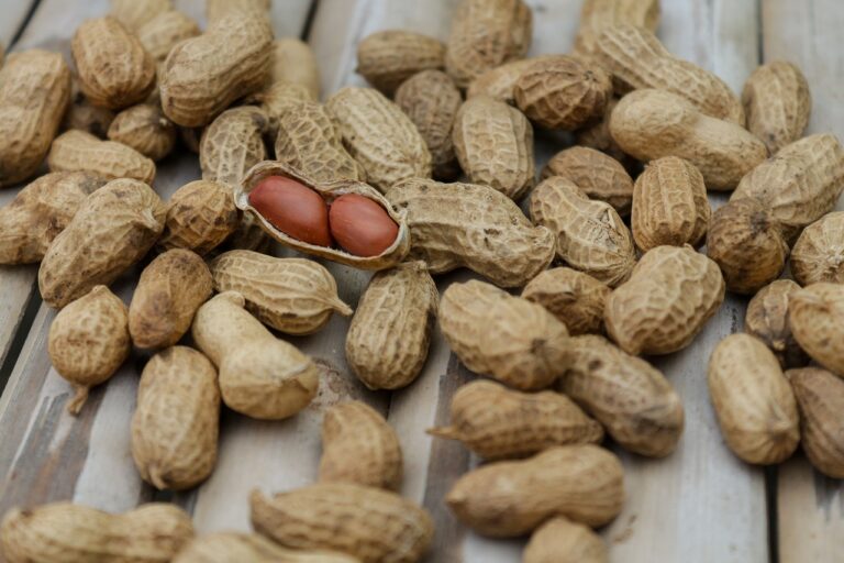 Peanut Nutrition